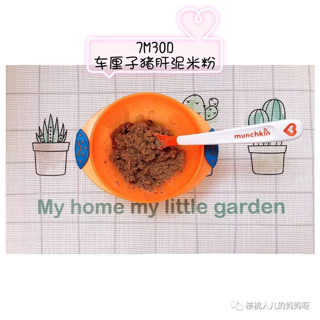 什么能补铁(地贫不能补铁)-硒宝网