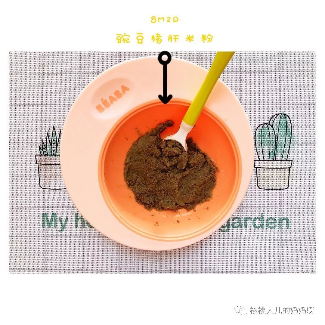 什么能补铁(地贫不能补铁)-硒宝网