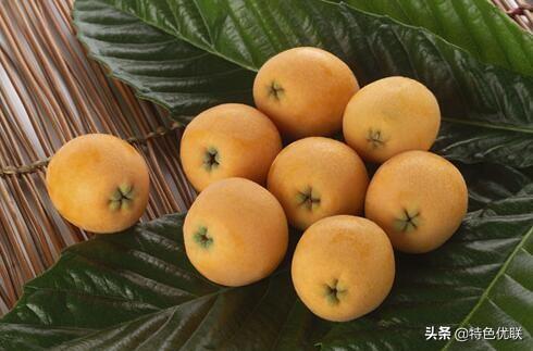 贵州富硒农产品标志(贵州富硒农旅发展有限公司)-硒宝网