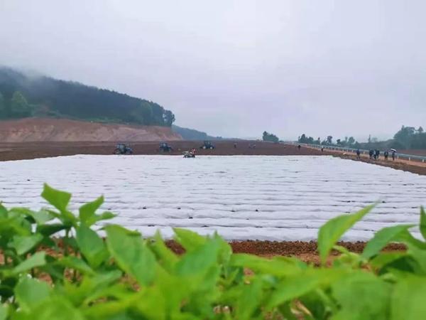 开阳富硒农产品营销(富硒开阳-天生兄妹)-硒宝网