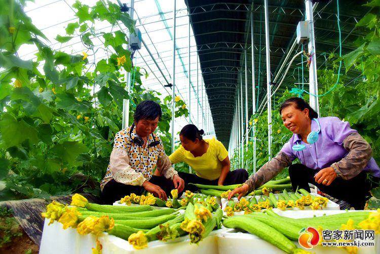 东江源头富硒农产品(东江源头富硒农产品)-硒宝网