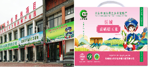 唯美健康富硒农产品(唯美农健康富硒产品怎么样)-硒宝网