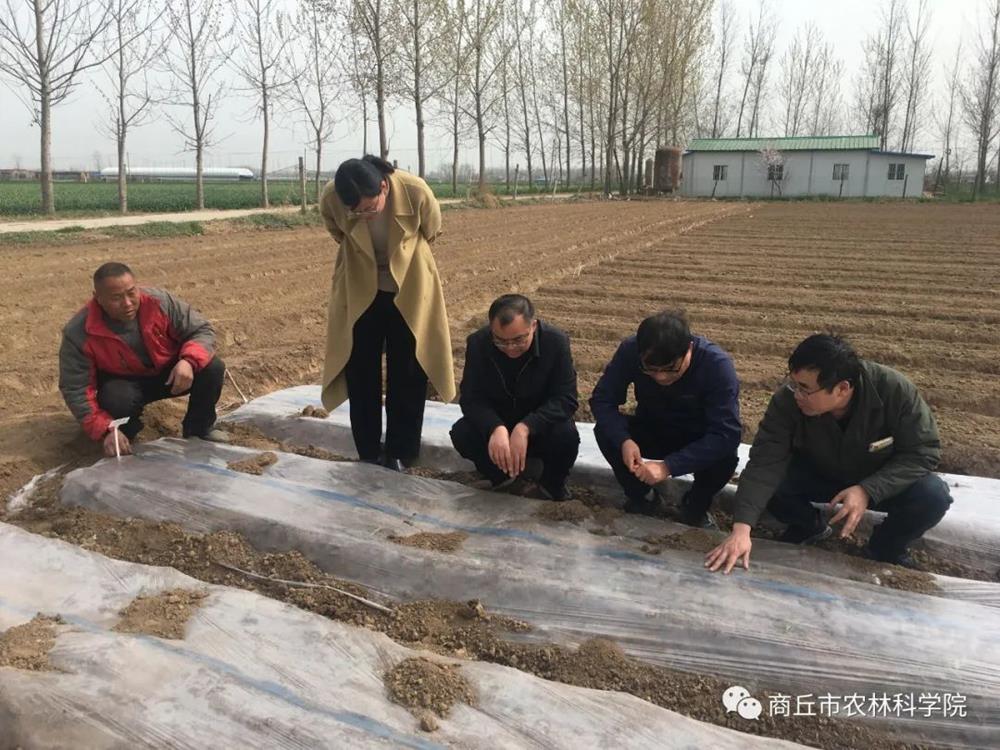 河南商丘富硒农产品（河南富硒地）-硒宝网