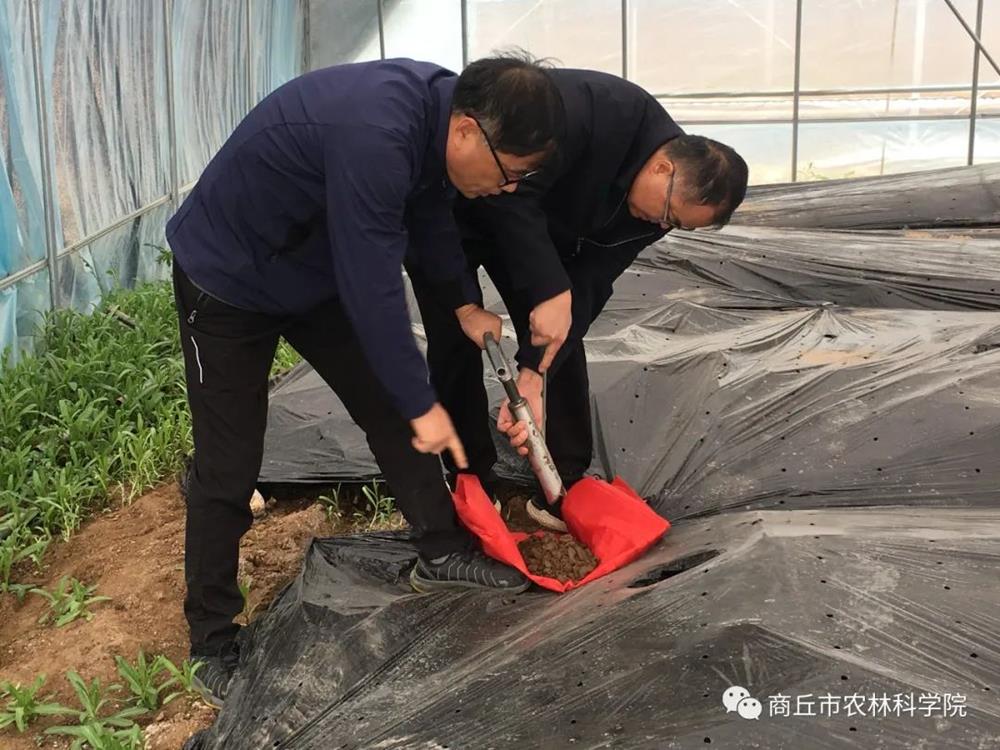 河南商丘富硒农产品（河南富硒地）-硒宝网