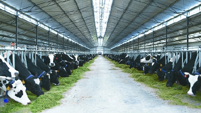 富硒产品食用菌认证（食用菌硒含量排名）-硒宝网