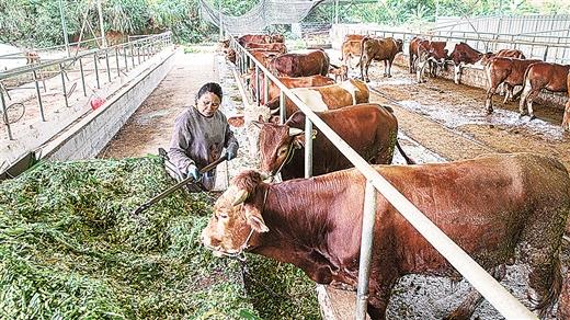 河池生态富硒农产品(广西富硒土壤)-硒宝网