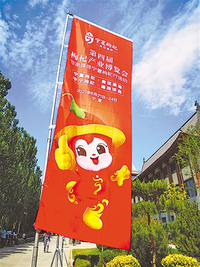 宁夏富硒农产品标准(富硒国家标准)-硒宝网