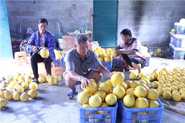 河池生态富硒农产品（广西富硒农产品标准）-硒宝网