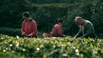 富硒农产品宣传口号(富硒标语)-硒宝网