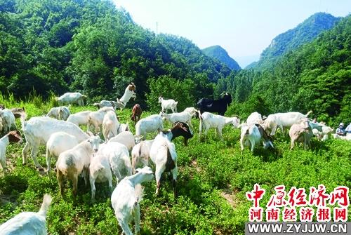 叶县富硒农产品价格（富硒农业）-硒宝网