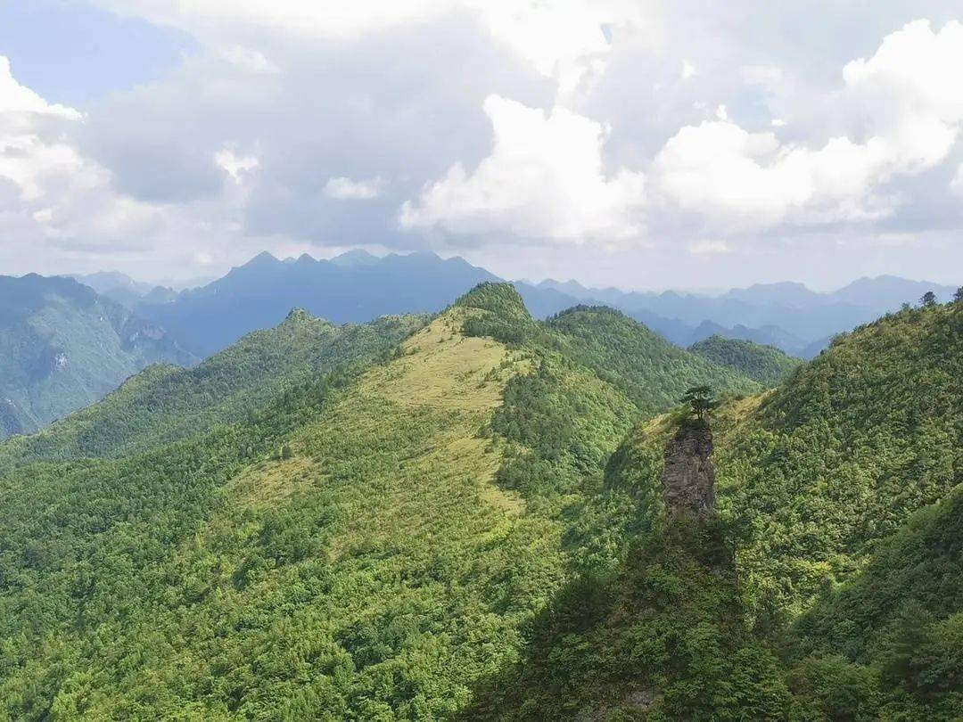 花萼天然富硒农产品(6个月的宝宝可以去电影院吗)-硒宝网