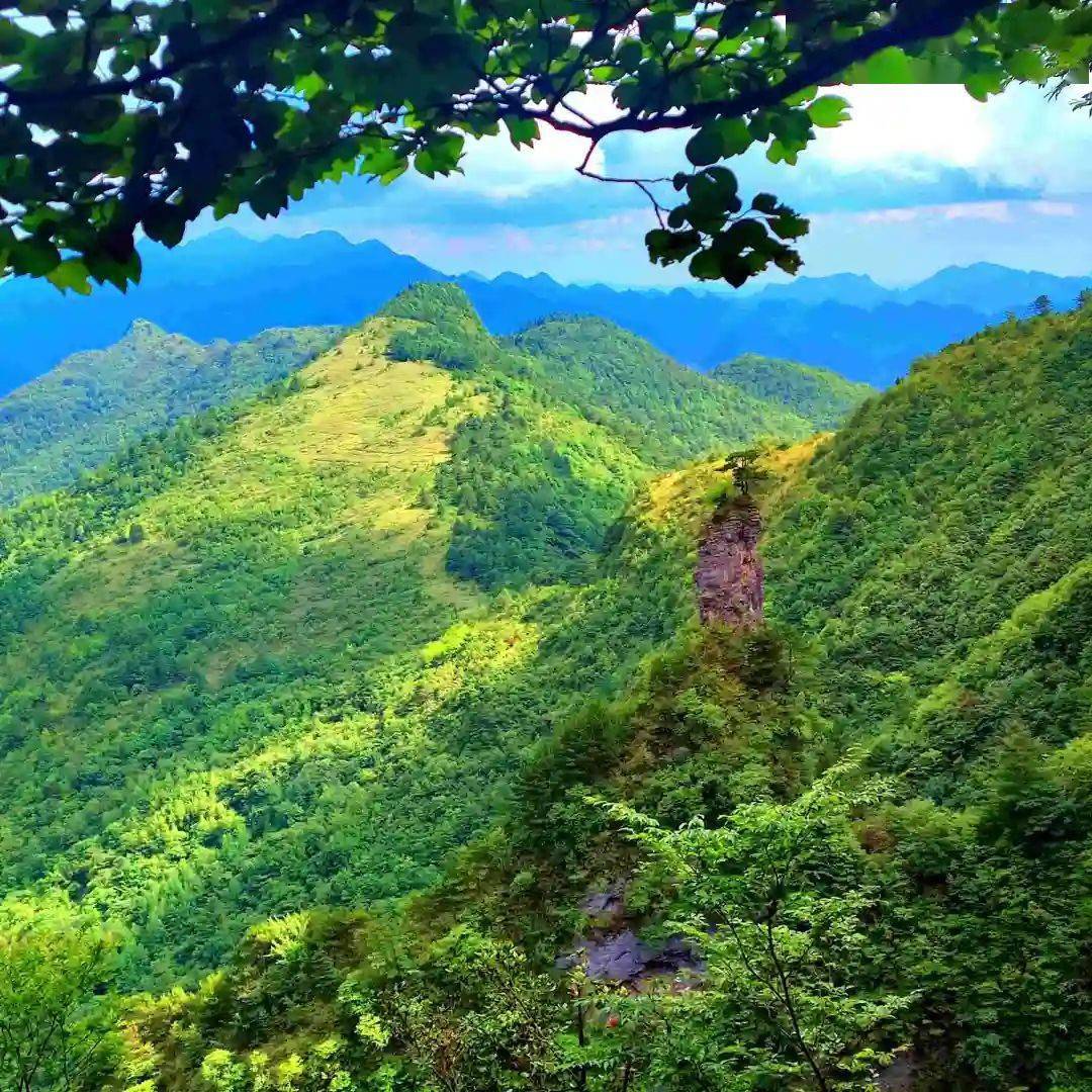 花萼天然富硒农产品(6个月的宝宝可以去电影院吗)-硒宝网