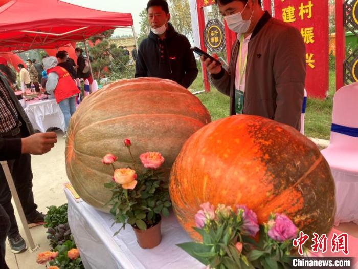 河南富硒农产品认证(河南省公布的富硒土壤)-硒宝网