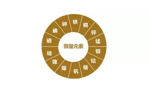 儿童微量元素检测需要空腹吗(儿童微量元素怎么查空腹查吗)-硒宝网