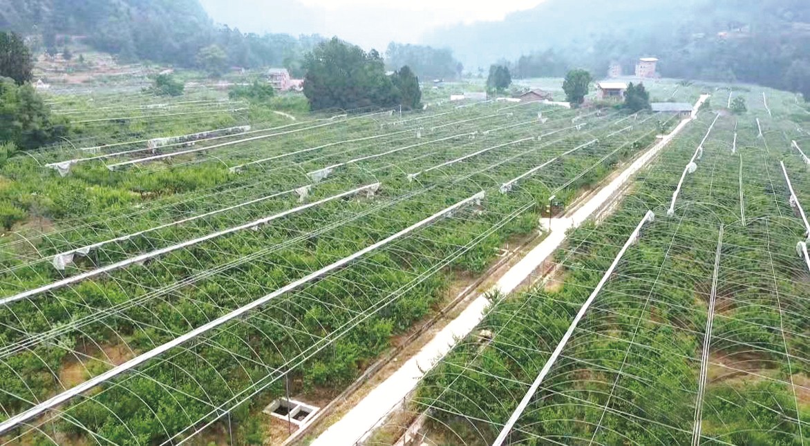 万源市富硒产品中心(万源市富硒产业发展中心)-硒宝网