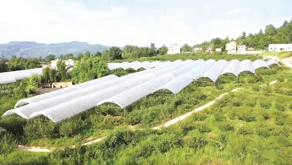 万源市富硒产品中心(万源市富硒产业发展中心)-硒宝网