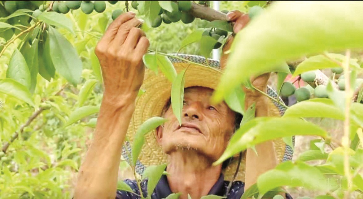 万源市富硒产品中心(万源市富硒产业发展中心)-硒宝网