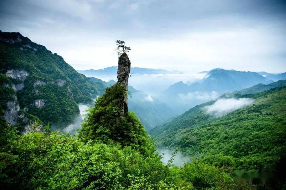 花萼天然富硒农产品(舌头是白的为什么)-硒宝网