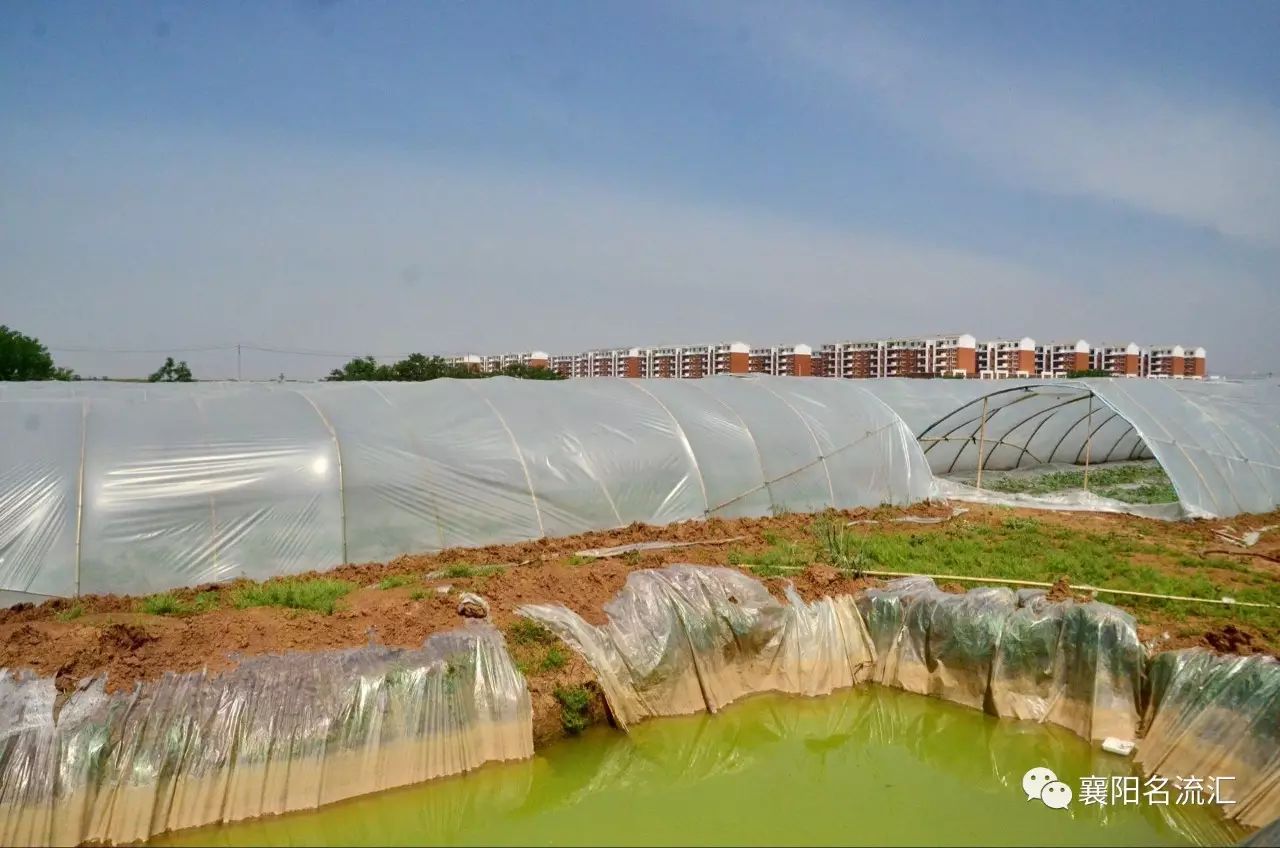 富硒牛奶是农产品吗（富硒牛奶是什么意思）-硒宝网