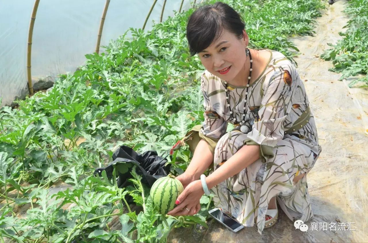 富硒牛奶是农产品吗（富硒牛奶是什么意思）-硒宝网