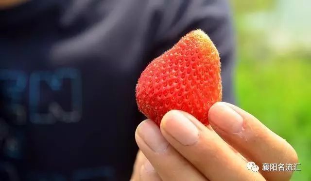 富硒牛奶是农产品吗（富硒牛奶是什么意思）-硒宝网