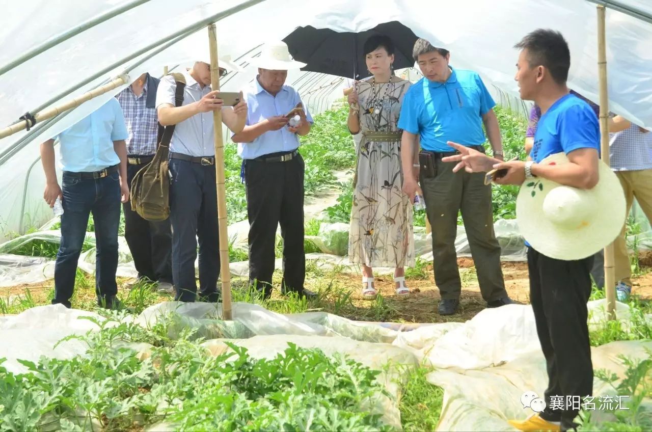 富硒牛奶是农产品吗（富硒牛奶是什么意思）-硒宝网