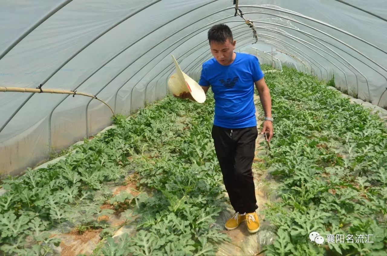 富硒牛奶是农产品吗（富硒牛奶是什么意思）-硒宝网