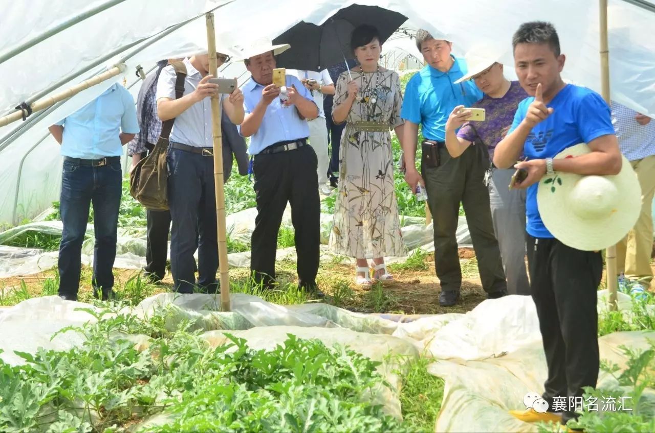 富硒牛奶是农产品吗（富硒牛奶是什么意思）-硒宝网