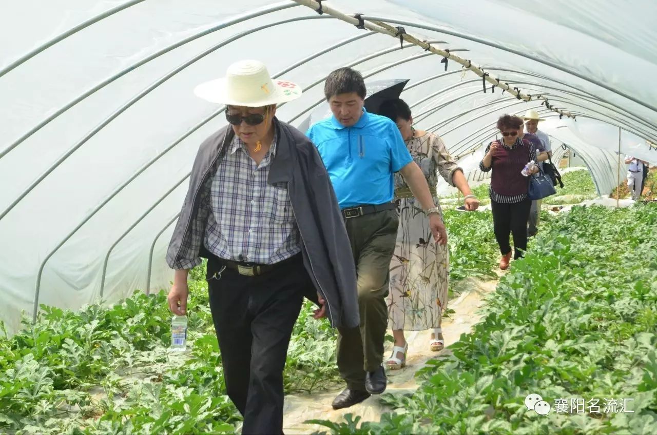 富硒牛奶是农产品吗（富硒牛奶是什么意思）-硒宝网