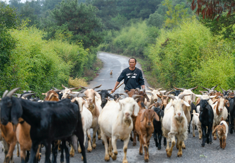 富硒农产品行业媒体（富硒农产品企业）-硒宝网