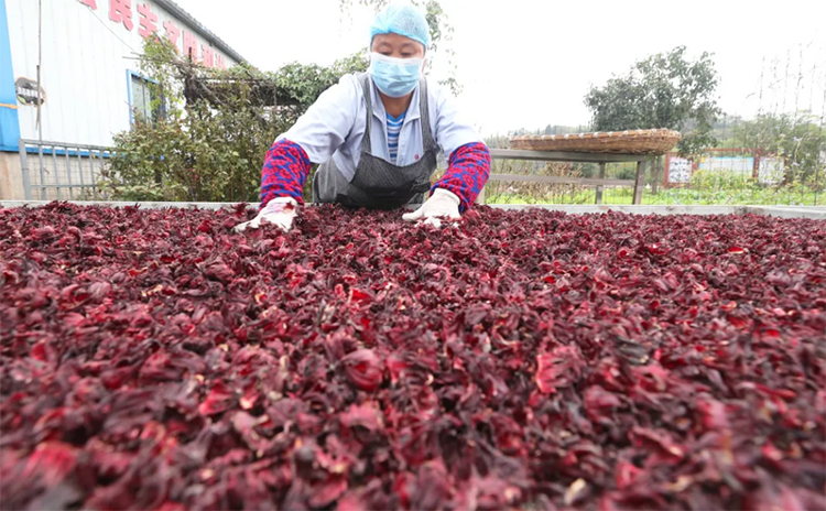 富硒农产品行业媒体（富硒农产品企业）-硒宝网