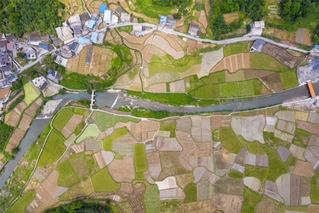 富硒农产品行业媒体（富硒农产品企业）-硒宝网