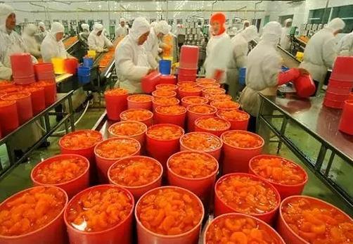 富硒农产品生产工艺(如何生产富硒农产品)-硒宝网