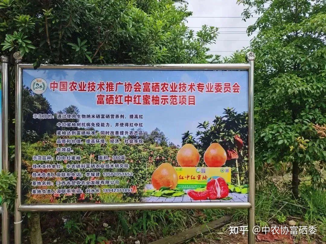 于都富硒农产品设计(于都富硒农业)-硒宝网