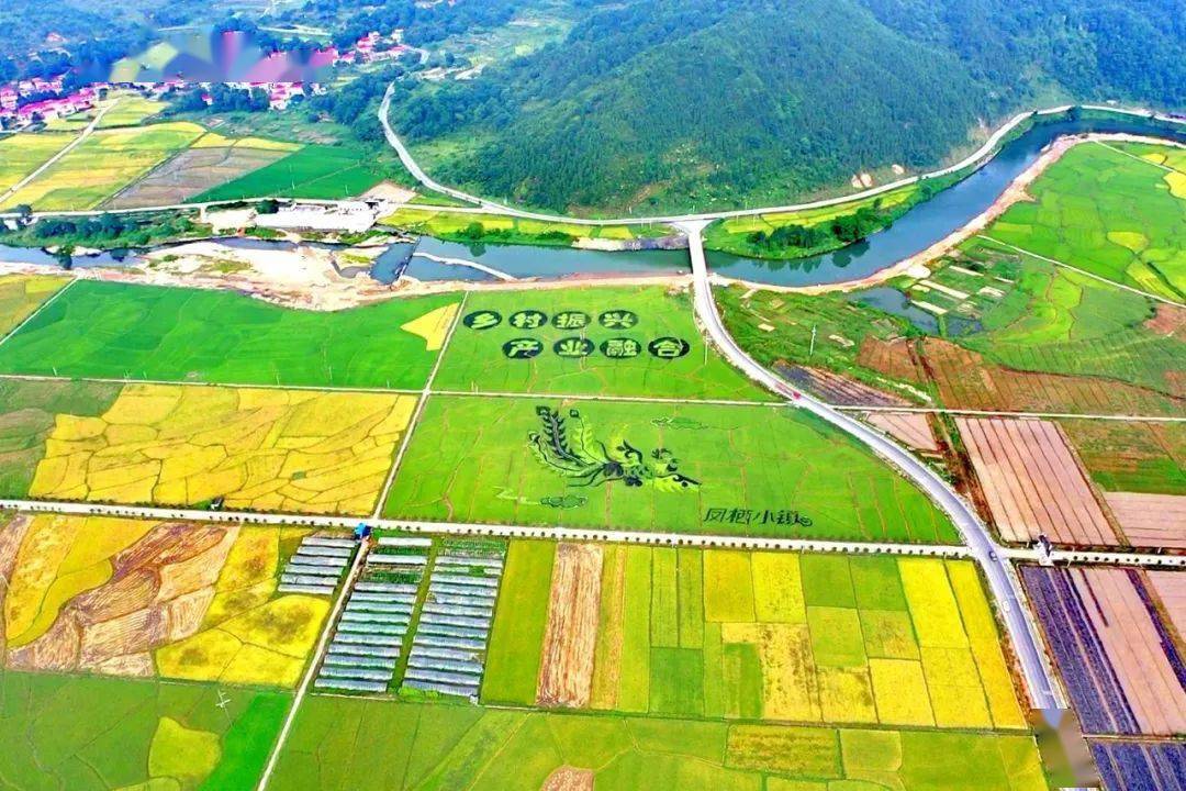 池州富硒农产品认证（安徽池州富硒村）-硒宝网