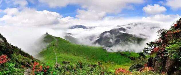 广西龙胜富硒农产品(广西富硒农业)-硒宝网