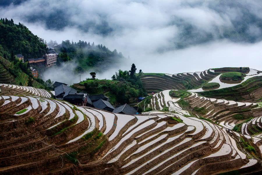 广西龙胜富硒农产品(广西富硒农业)-硒宝网