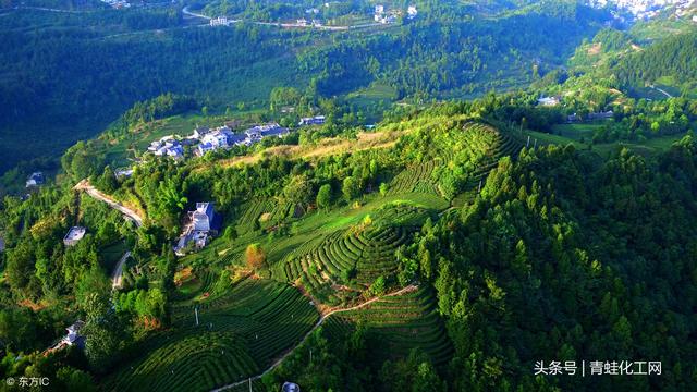 思施富硒农产品招商(思施富硒农产品招商)-硒宝网