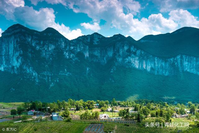 思施富硒农产品招商(思施富硒农产品招商)-硒宝网