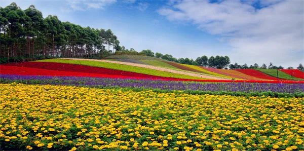 富硒农产品基地航拍(富硒基地简介)-硒宝网