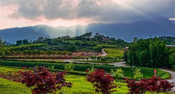 富硒农产品基地航拍(富硒基地简介)-硒宝网