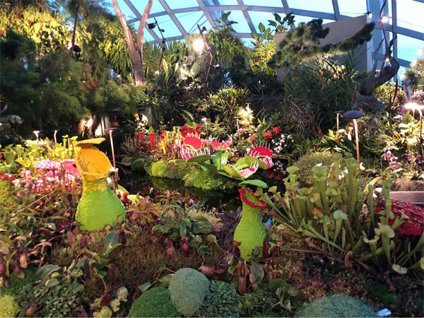 富硒农产品基地航拍(富硒种植基地)-硒宝网