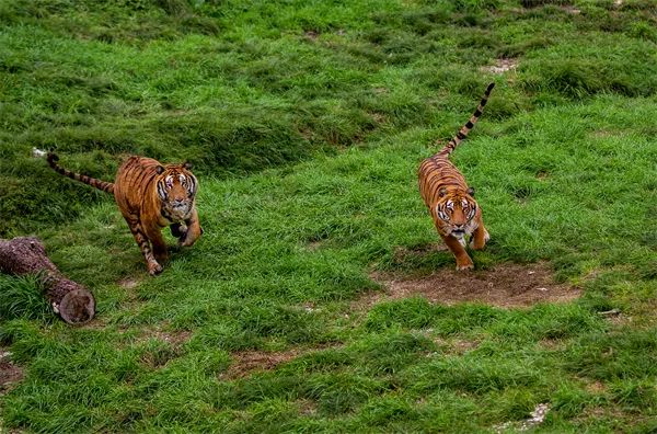 富硒农产品基地航拍(富硒种植基地)-硒宝网