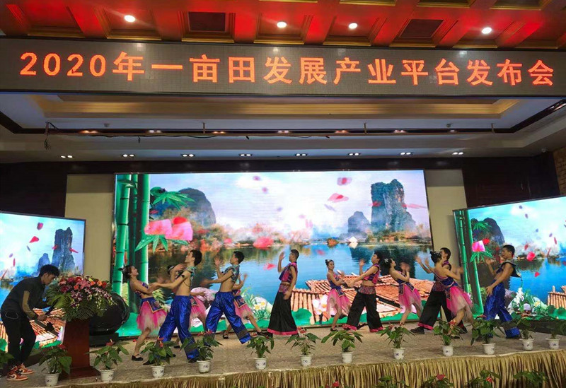 恩施的农产品富硒吗（恩施富硒茶）-硒宝网