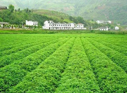 富硒水产品国家标准（国家富硒水果标准）-硒宝网