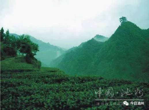 佳山森林富硒农产品(佳山森林富硒农产品)-硒宝网