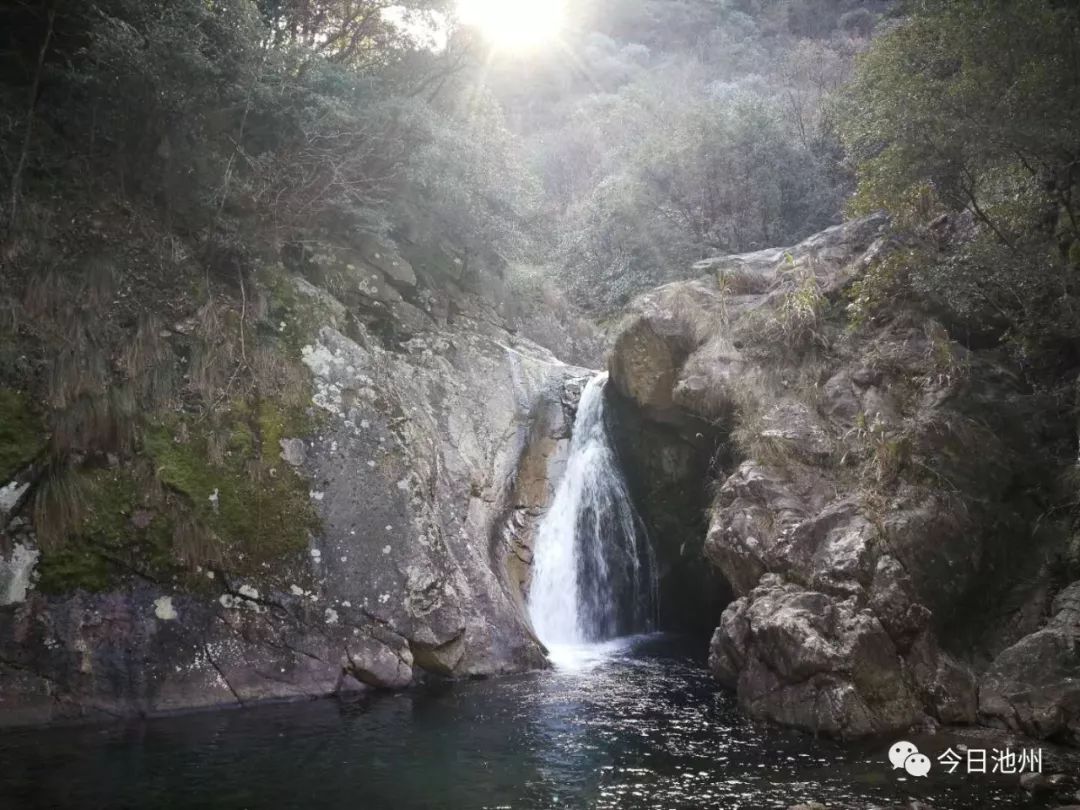 佳山森林富硒农产品(佳山森林富硒农产品)-硒宝网