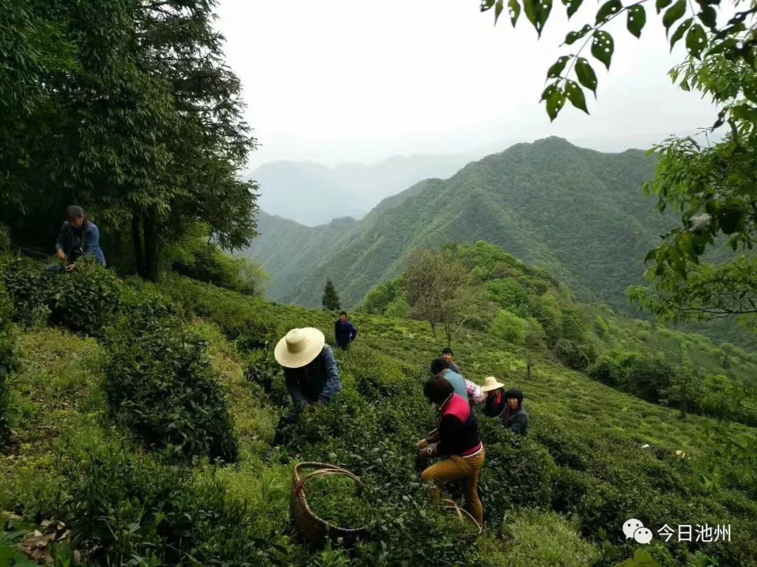 佳山森林富硒农产品(佳山森林富硒农产品)-硒宝网