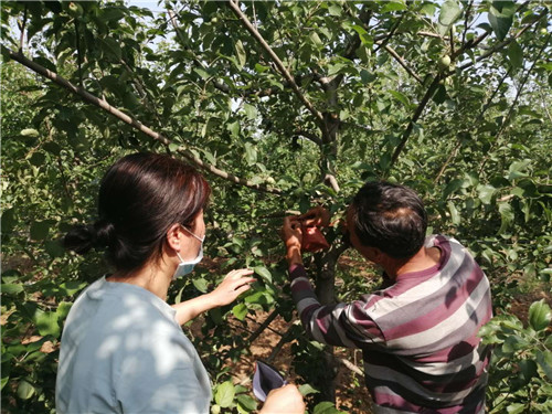 淄博久润富硒农产品(淄川久润富硒生态园有门票吗)-硒宝网