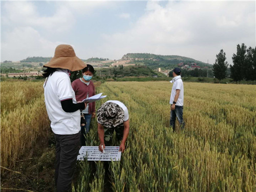淄博久润富硒农产品(淄川久润富硒生态园有门票吗)-硒宝网